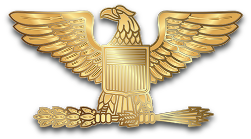 colonel badge